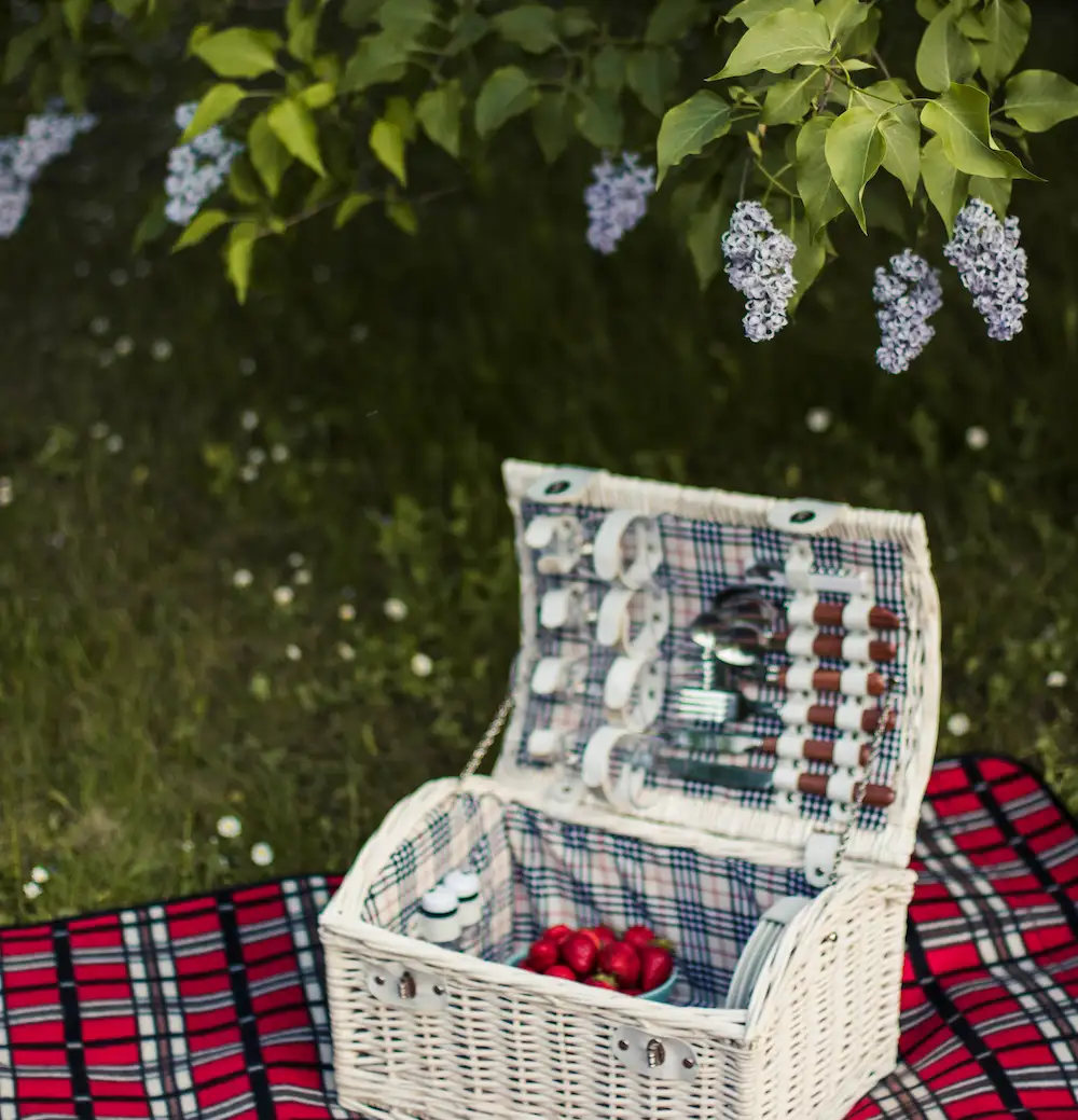 Picnic basket with greenery in background