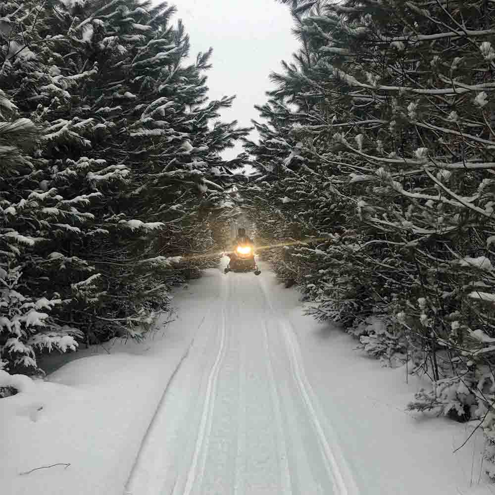 Snowmobile on woods trail